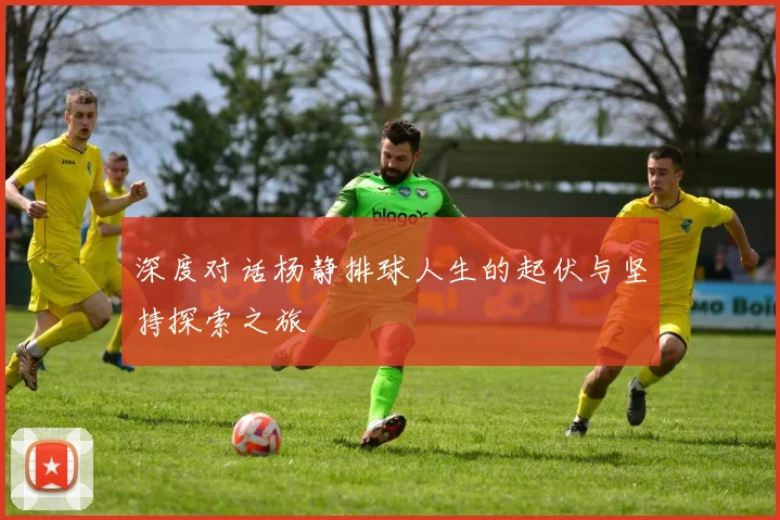 深度对话杨静排球人生的起伏与坚持探索之旅
